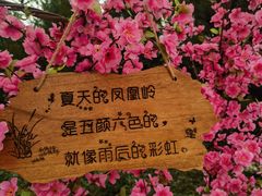 -北京凤凰岭
