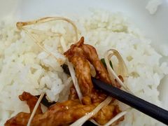 -灯盏窝饭店(新都分店)