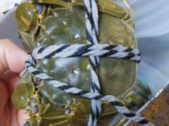 -乡乐园蟹庄·阳澄湖农家乐