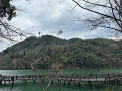 -江西阳明山国家森林公园