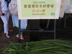 -瑞穗牧场