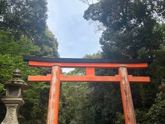 -奈良公园
