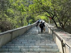 -抱犊寨风景区