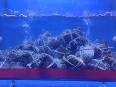 -老阿爸江浙土菜(前进东路店)