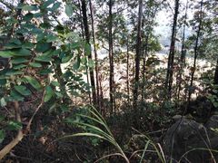 -火炉山森林公园