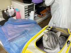 -美联众合动物医院·24h京西诊疗中心