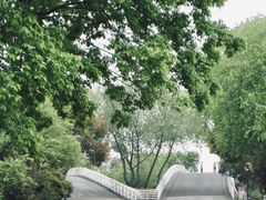-贡湖湾湿地公园