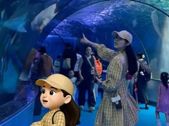 -泉城欧乐堡海洋极地世界