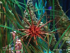 -沈阳海洋探索中心