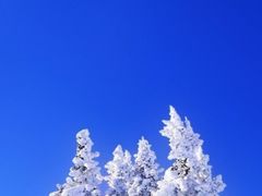 -小八仙·宴(三峡茶庄店)