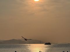 -黄金海岸环岛路