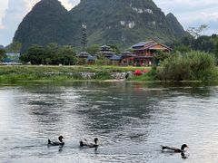 -靖西鹅泉风景区