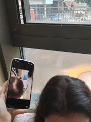 -碧莲盛·不剃发植发