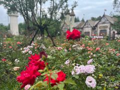 -东平国家森林公园