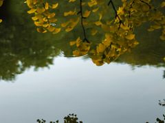 -香山公园-东宫门售票处