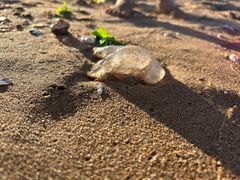 -兴城海滨风景区