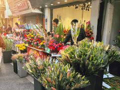 -溪岸路花鸟市场