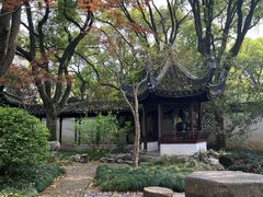 -上海醉白池公园