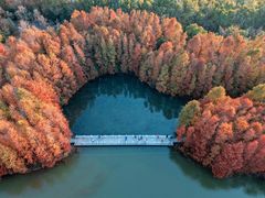 -上海海湾国家森林公园