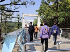 -东莞植物园