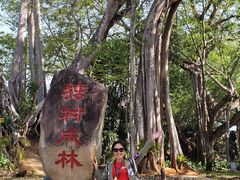 -瑞丽独树成林风景区