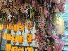-正佳雨林生态植物园