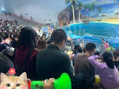 -福州罗源湾海洋世界旅游区