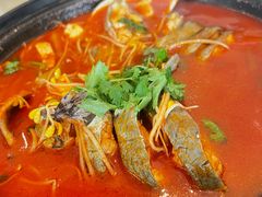 -贵州大厦贵州厅(樱花园西街店)