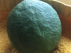 -南通博物苑-崇川人民公园