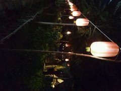 android_upload_pic-草根堂农场