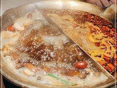 -九鼎轩脆毛肚火锅(三钢里店)