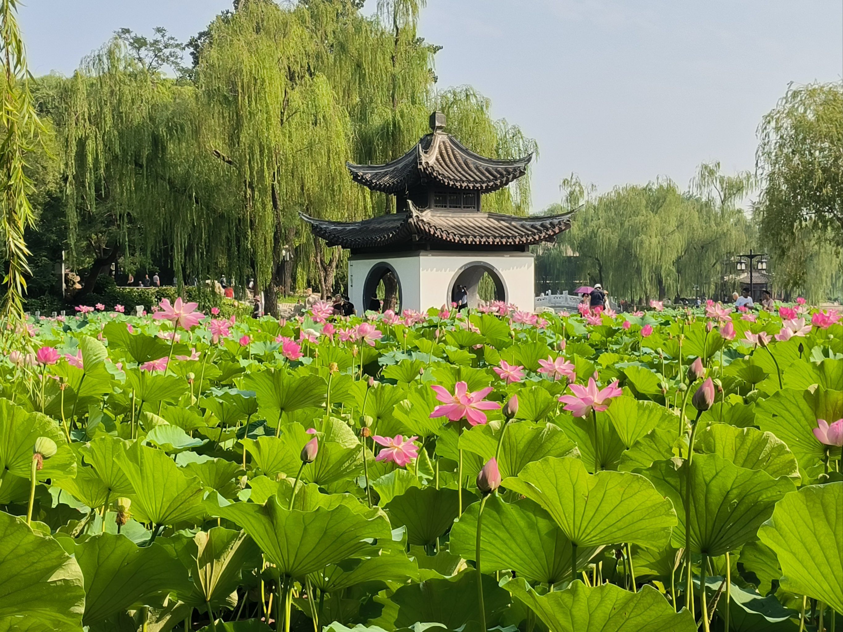 公园美景赏心悦