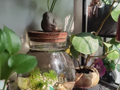 -街角 T·COFFEE 融合料理·BISTRO(车公庙店)