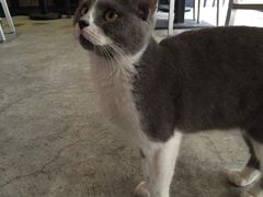 -MIKAKU(万达广场上海宝山店)