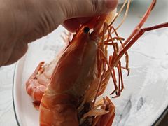 -蟹村草堂·苏式园林人文农家·大闸蟹