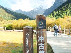 -稻城亚丁景区-冲古草甸