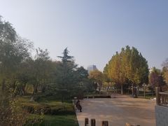 -雁滩公园