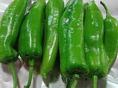 青椒-大槐树烤肉馆