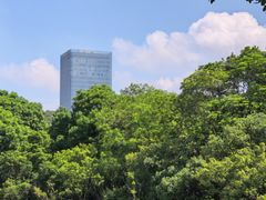 -东莞植物园