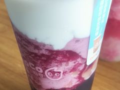-CoCo都可(骆家庄新店)