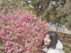 -东北大学(南湖校区)
