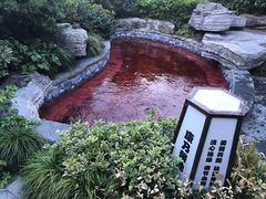 -杭州第一世界大酒店·云曼温泉