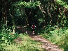 -宝岩生态观光园