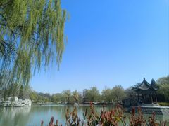 -达活泉公园