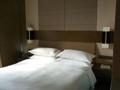 -扬州绿地铂骊酒店