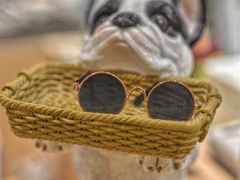 -Pets First伊珊娜洗护·精致美容·家庭式寄养(新会路店)