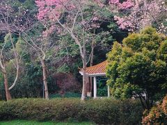 -火炉山森林公园