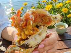 -小陆莲花蟹园农家乐(莲花岛店)