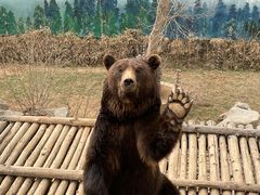 -济南野生动物世界