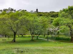 -苏州上方山国家森林公园